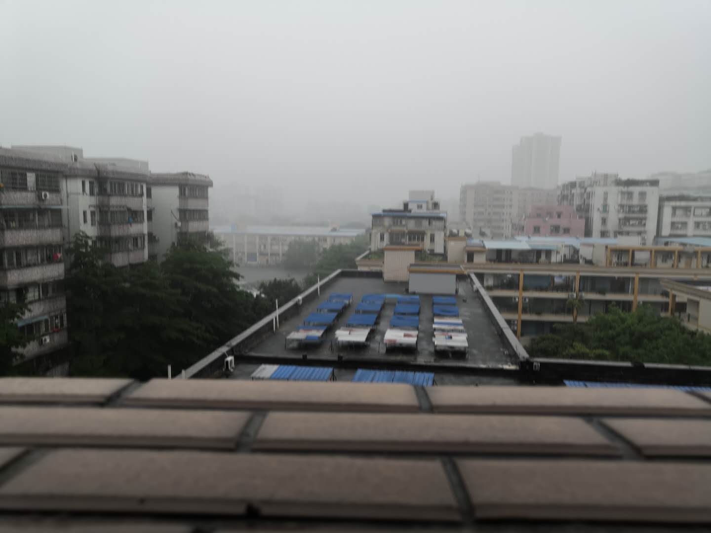 佛山市順泰鞋材有限公司